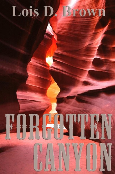 Forgotten Canyon by Lois D. Brown