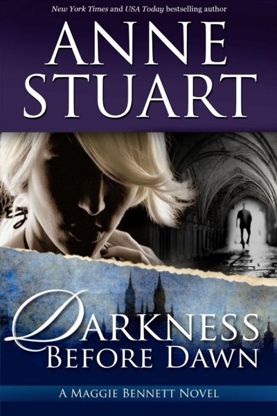 Darkness Before the Dawn by Anne Stuart