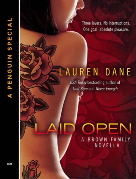 05 Laid Open by Lauren Dane