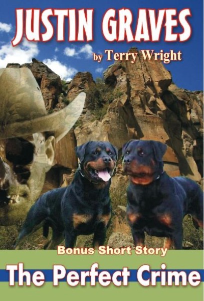 The Perfect Crime by Terry Wright