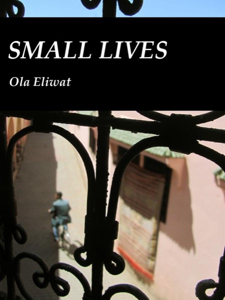 Small Lives by Ola Eliwat