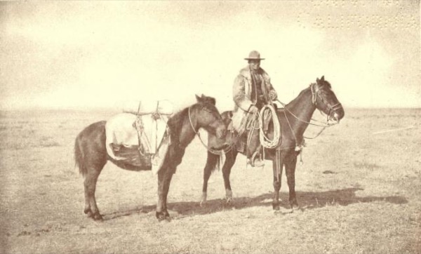 Jack the Young Cowboy: An Eastern Boy's Experiance on a Western Round-up