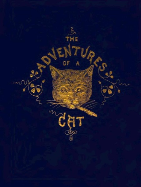 The Adventures of a Cat, and a Fine Cat Too! by Alfred Elwes