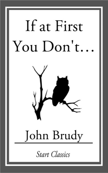 If at First You Don't... by John Brudy