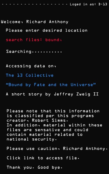 The 13 Collective: Bound by Fate and the Universe by Jeffrey Zweig II