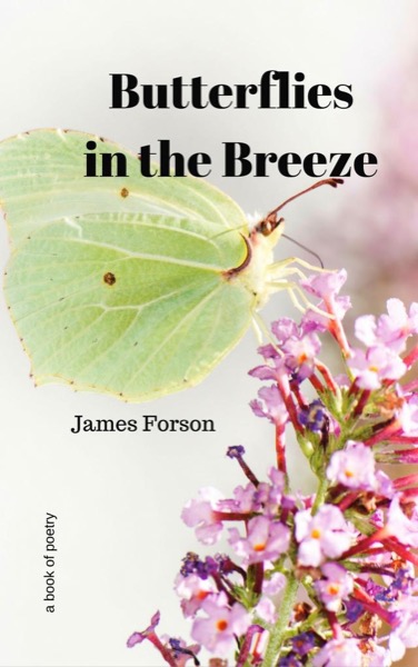 Butterflies in the Breeze by James Forson