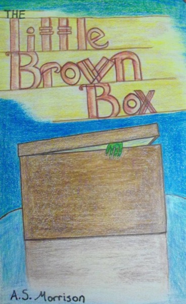 The Little Brown Box by A.S. Morrison