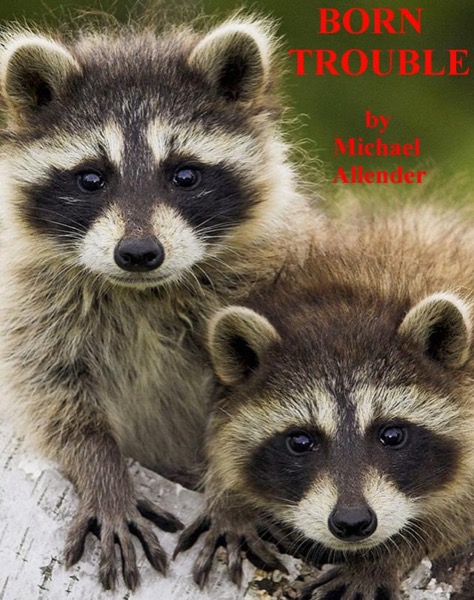 Born Trouble by Michael Allender