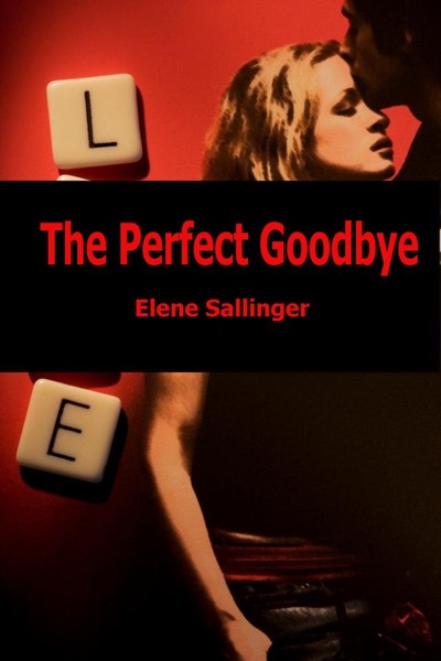 The Perfect Goodbye by Elene Sallinger