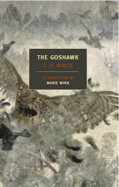 The Goshawk by T. H. White