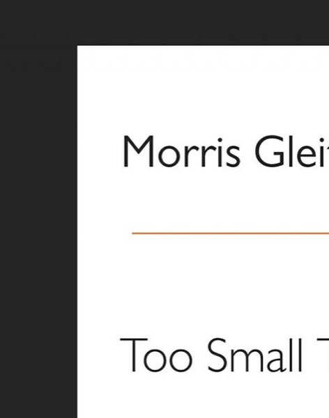 Too Small to Fail by Morris Gleitzman