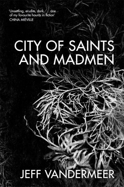 City of Saints and Madmen by Jeff VanderMeer