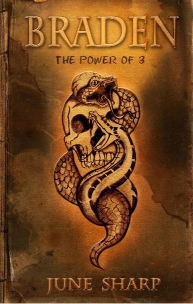 Braden ' Power of 3' by June Sharp