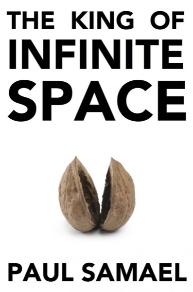 The King of Infinite Space by Paul Samael