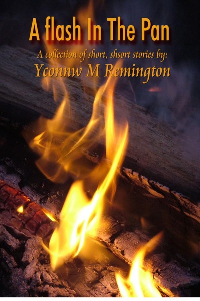 A Flash in the Pan by Yvonne M Remington