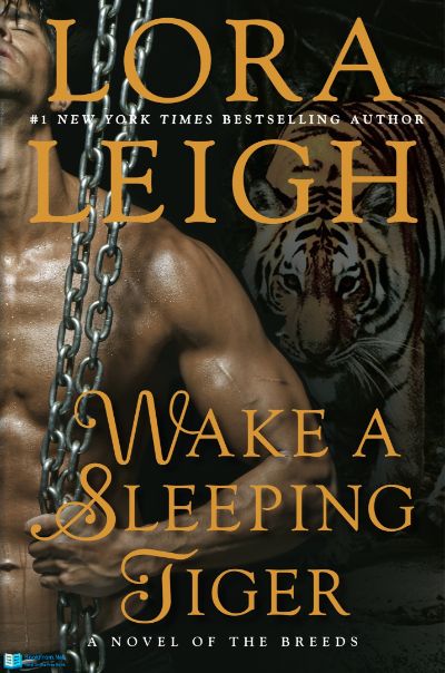 Wake A Sleeping Tiger by Lora Leigh