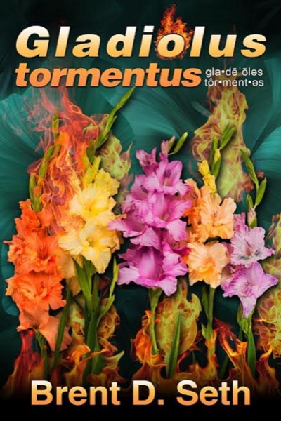 Gladiolus tormentus by Brent D. Seth