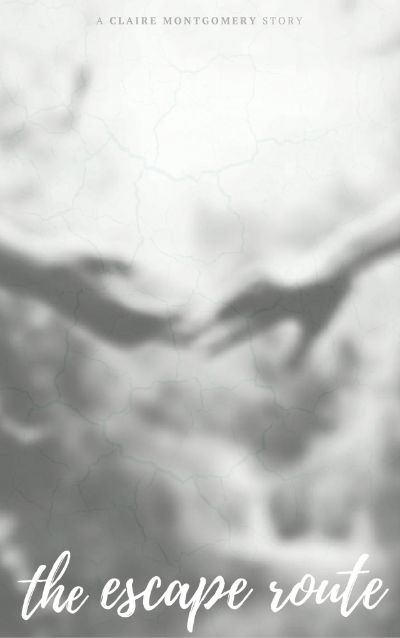 The Escape Route by Claire Montgomery