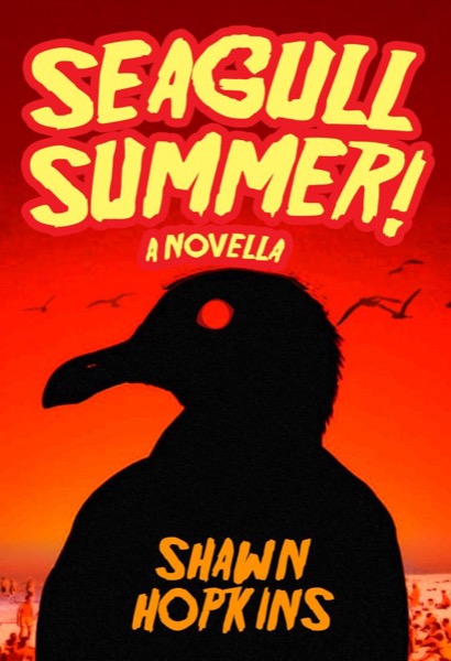 Seagull Summer: A Novella by Shawn Hopkins