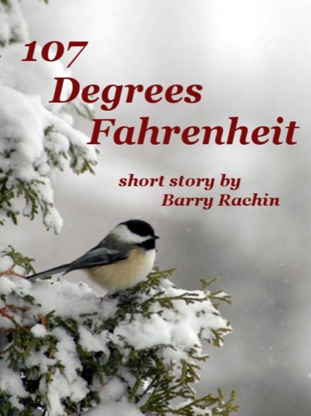 107 Degrees Fahrenheit by Barry Rachin