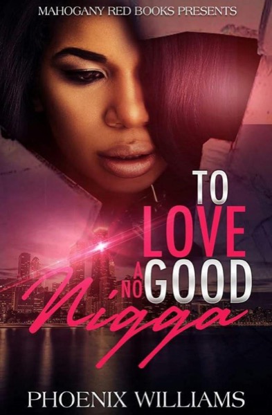 To Love a No Good Nigga by Phoenix Williams