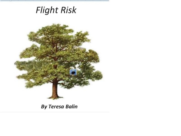 Flight Risk by Teresa Balin