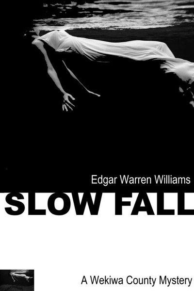 Slow Fall by Edgar Williams