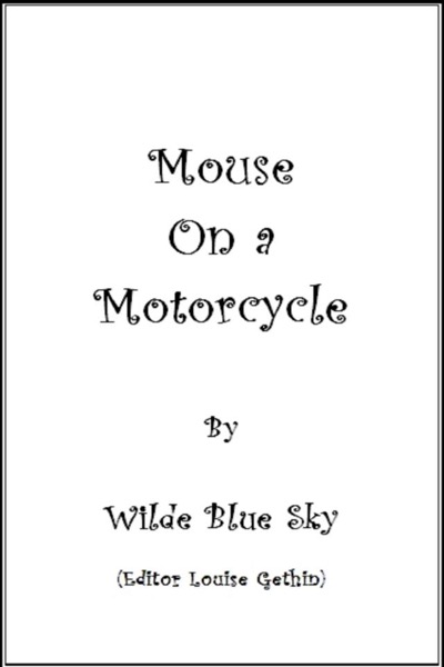 Mouse on a Motorcycle by Wilde Blue Sky