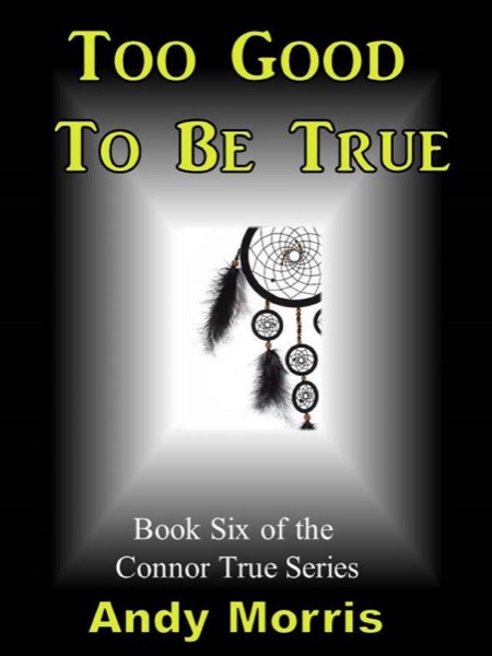 Too Good To Be True - Book Six of the Connor True Series by Andy Morris