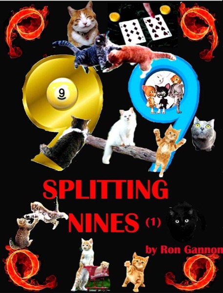 Splitting Nines (1) by Ron Gannon