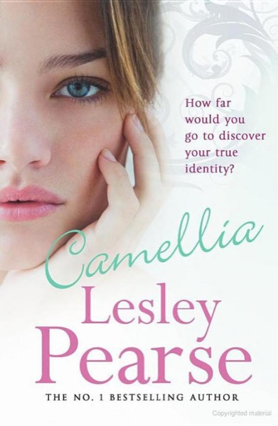 Camellia by Lesley Pearse