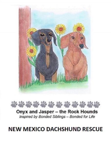 Onyx and Jasper – the Rock Hounds by New Mexico Dachshund Rescue