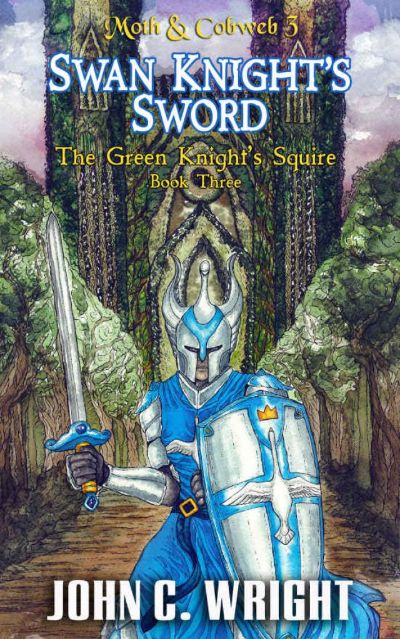 Swan Knight's Sword by John C. Wright