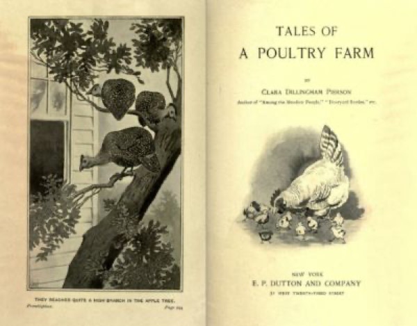 Tales of a Poultry Farm by Clara Dillingham Pierson