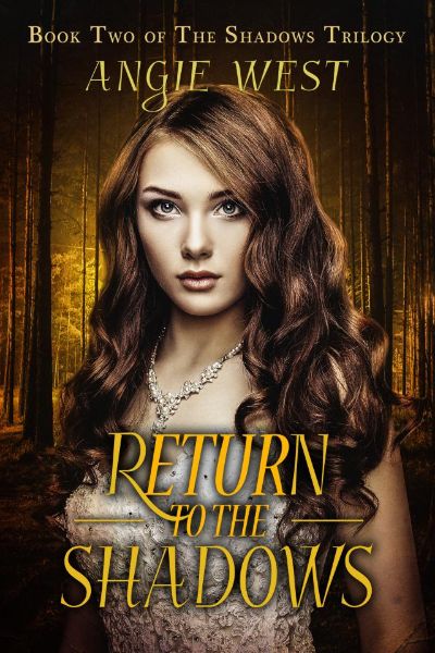 Return to the Shadows (Shadows #2) by Angie West