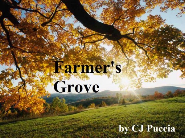Farmer's Grove by CJ Puccia