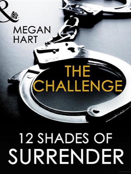 The Challenge by Megan Hart