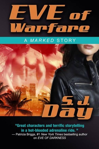 Eve of Warfare by S. J. Day