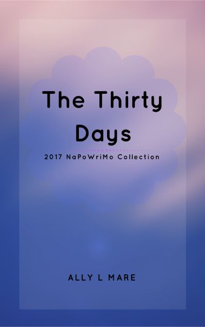 The Thirty Days by Ally Mare