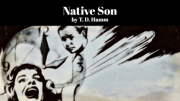 Native Son by Elmore Leonard