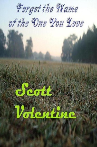 Forget the Name of the One You Love by Scott Volentine