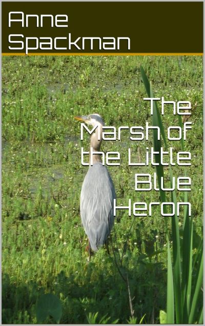 The Marsh of the Little Blue Heron by Anne Spackman