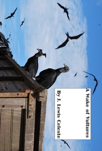 A Wake of Vultures by J. Lewis Celeste