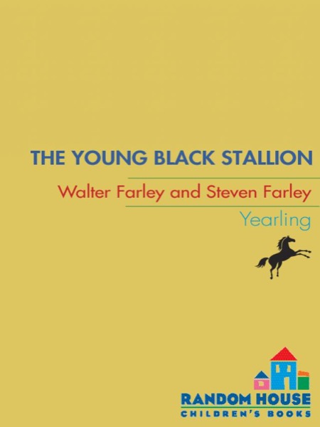 The Young Black Stallion by Steven Farley