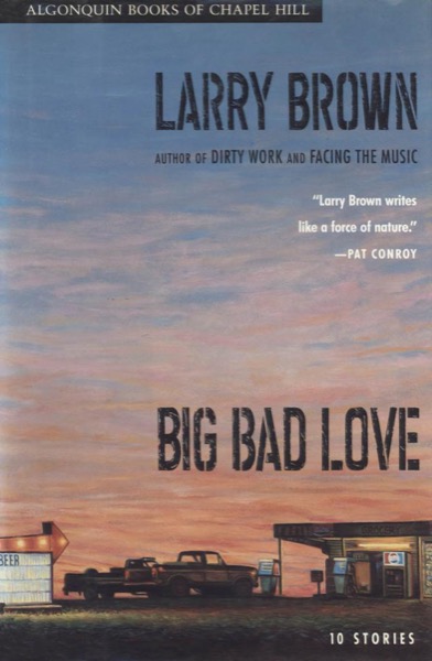 Big Bad Love by Larry Brown