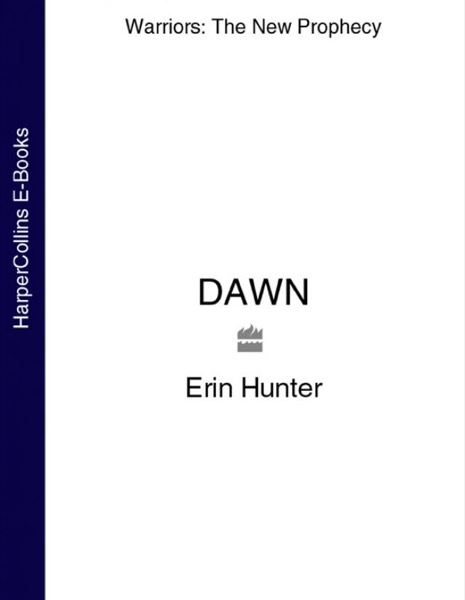 Dawn by V. C. Andrews