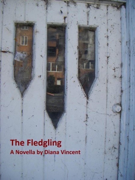 The Fledgling by Diana Vincent