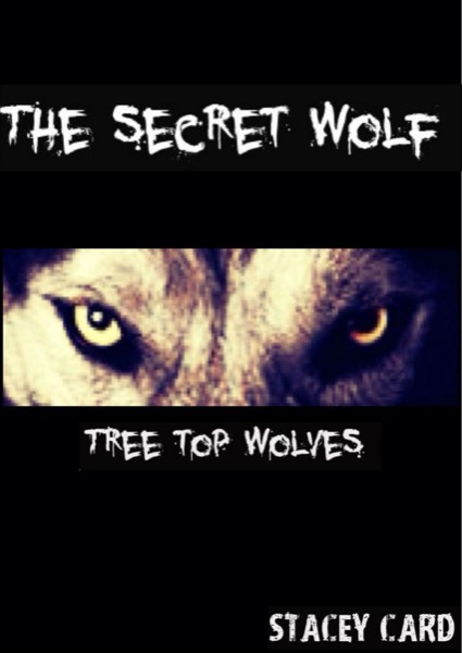 The Secret Wolf (Book One in the Tree Top Wolves Series) by Stacey Card