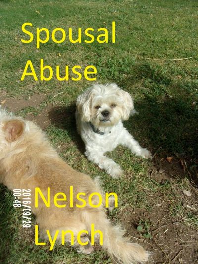 Spousal Abuse by Nelson Lynch