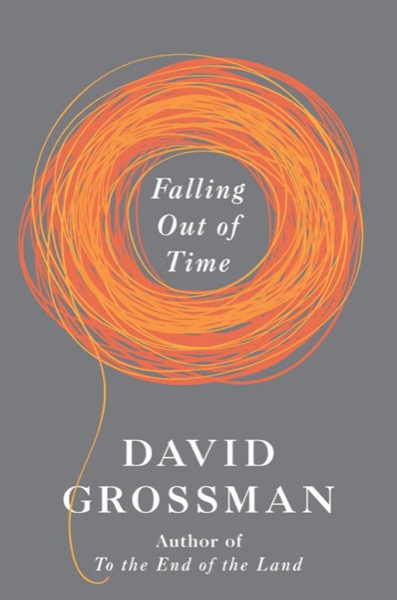 Falling Out of Time by David Grossman